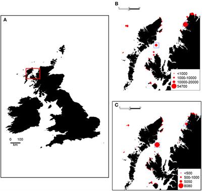 Matches and Mismatches Between Seabird Distributions Estimated From At-Sea Surveys and Concurrent Individual-Level Tracking